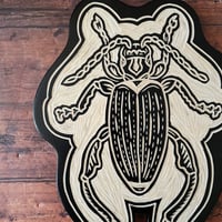 Image 2 of Reed Beetle 