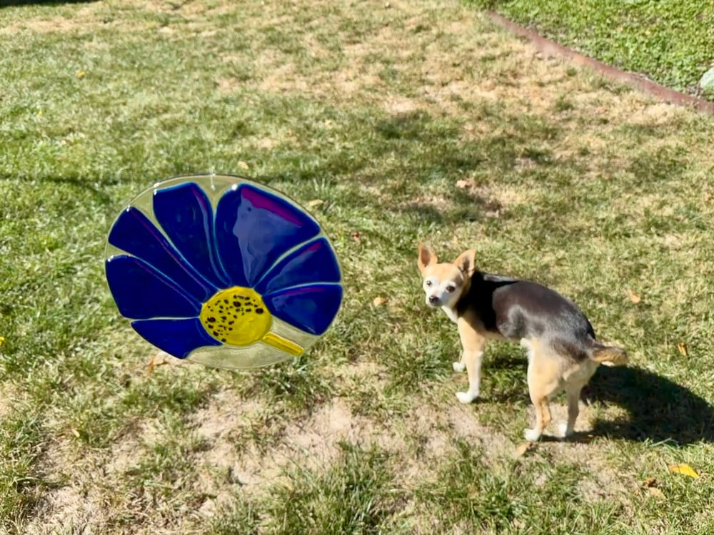 Image of Mid-Century Modern Fused Glass Flower