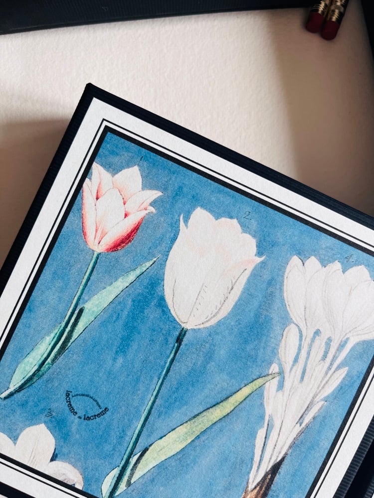Image of 6_TULIPES