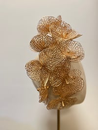 Image 4 of Gold orchids.