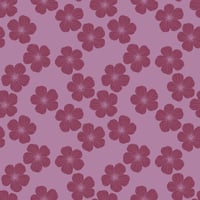 Image 2 of Orchid Nohu Pareo 