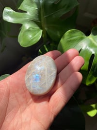Image 3 of Moonstone Palm Crystal (4)