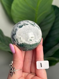 Image 9 of CHOOSE YOUR OWN MOSS AGATE SPHERE -INDIA- LOT 1