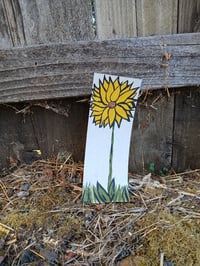 Image 4 of Flower