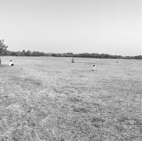 Chance Meeting - “Cold as the Dawn Meadow Mist” CD-R (NOS-020)