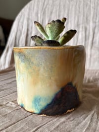 Image 6 of Chocolate Soldier kalanchoe in Handmade Glazed Pot