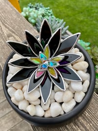 Image 5 of **PRE SALE** Succulent Glass Plant - Potted