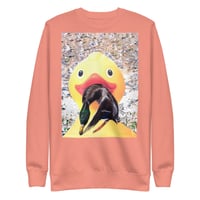 Image 1 of Ducking around