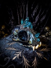 Image 4 of Blue Aura Quartz & Carborundum - Bobcat Skull