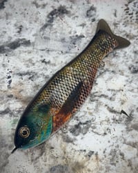 Image 1 of Full Size Shat - “Barrett”