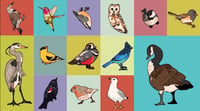 Bird Stickers