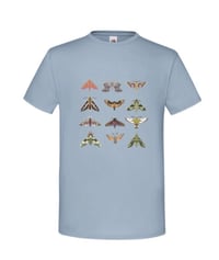 Image 5 of 12 Hawk-moth Collage T-shirt