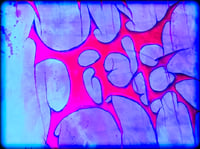 Image 3 of FUCKICE tee UV (2XL)