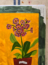Image 6 of "Auricula" Original