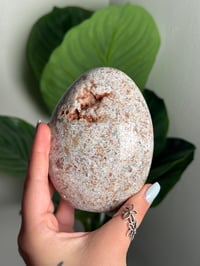 Image 2 of SEA JASPER FREEFORM -MADAGASCAR- L