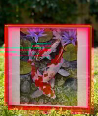 Image 1 of Pink Fish Tank