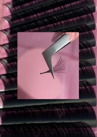 Luxe Lash Tray - CC CURL 0.03