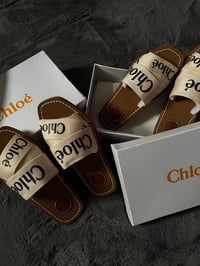 Image 1 of CHLO slides