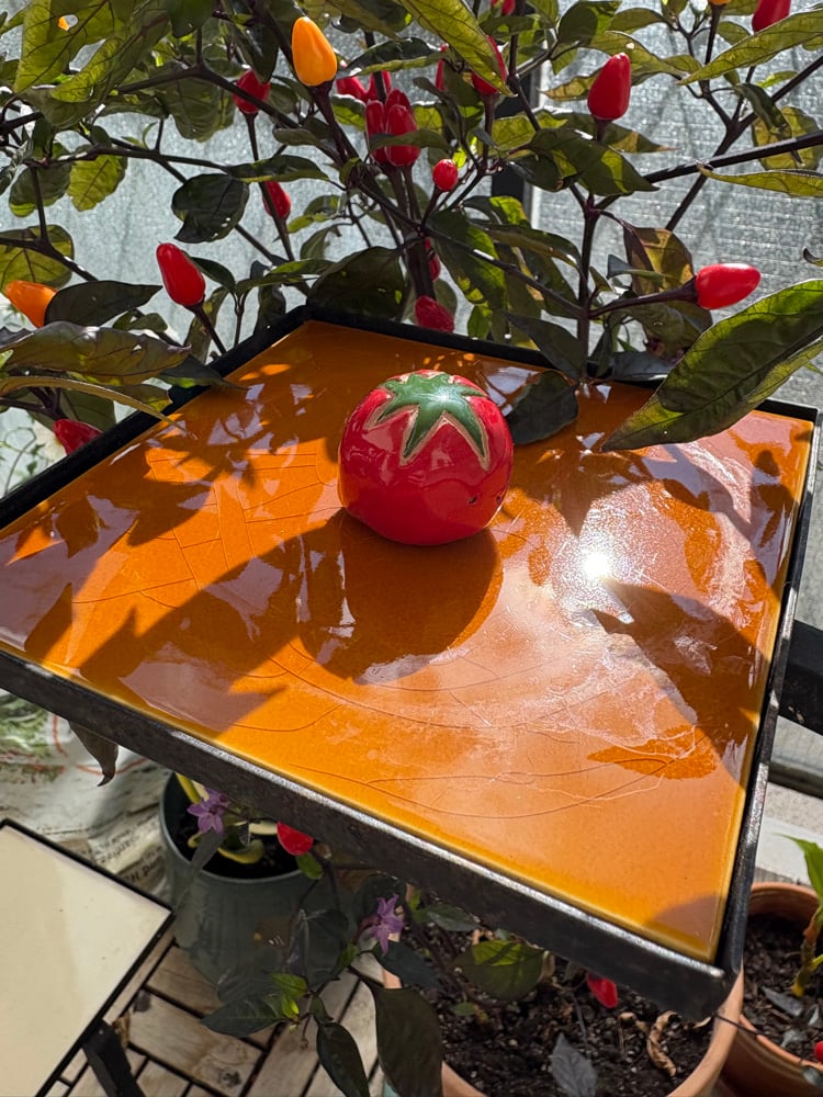 Image of cheeky tomato