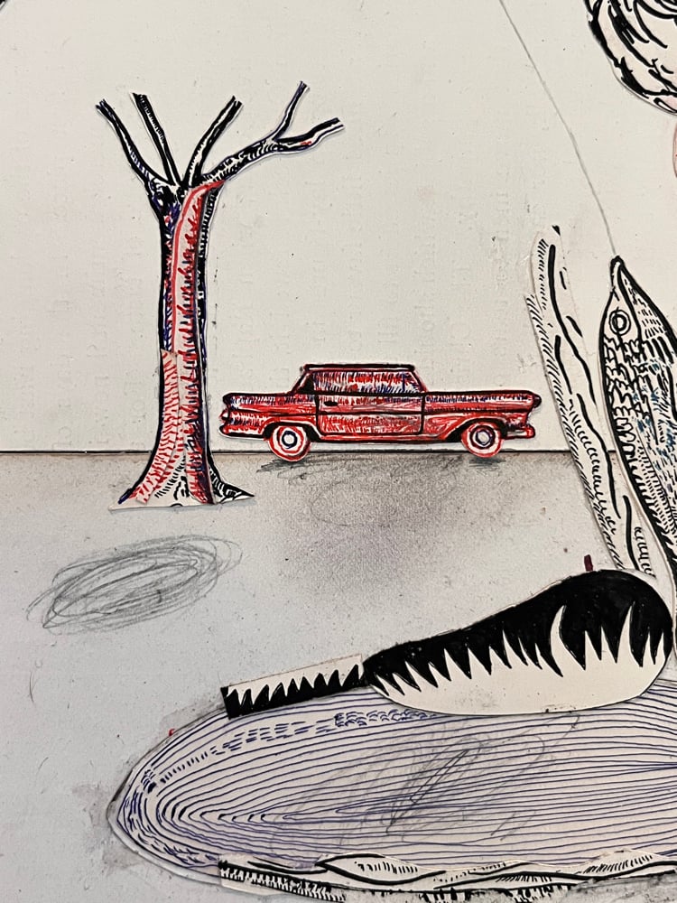 Lester Bocconcini goes Fishing Image 5