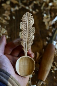 Image 10 of Feather Scoop 