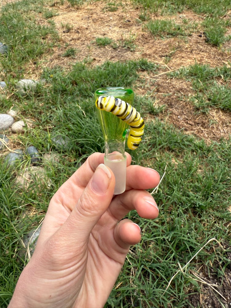 Image of Monarch Caterpillar 14mm Slide
