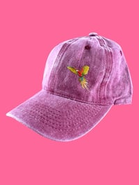 Cappellino ARA