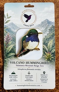Image 3 of Hummingbirds of Costa Rica Pin Badges