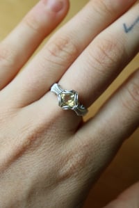 Image 4 of Pre-Recorded Prong Set Ring Class