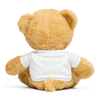 Image 2 of Teddy bear with a t-shirt (Noah's ark)