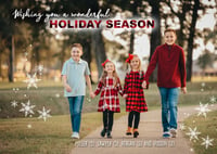 Image 2 of 2019 Stedman Family Christmas Cards