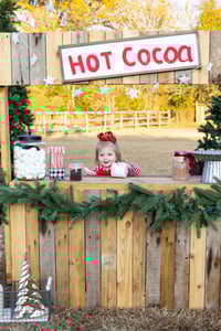CHRISTMAS HOT COCOA STAND OUTDOOR MINI SESSION