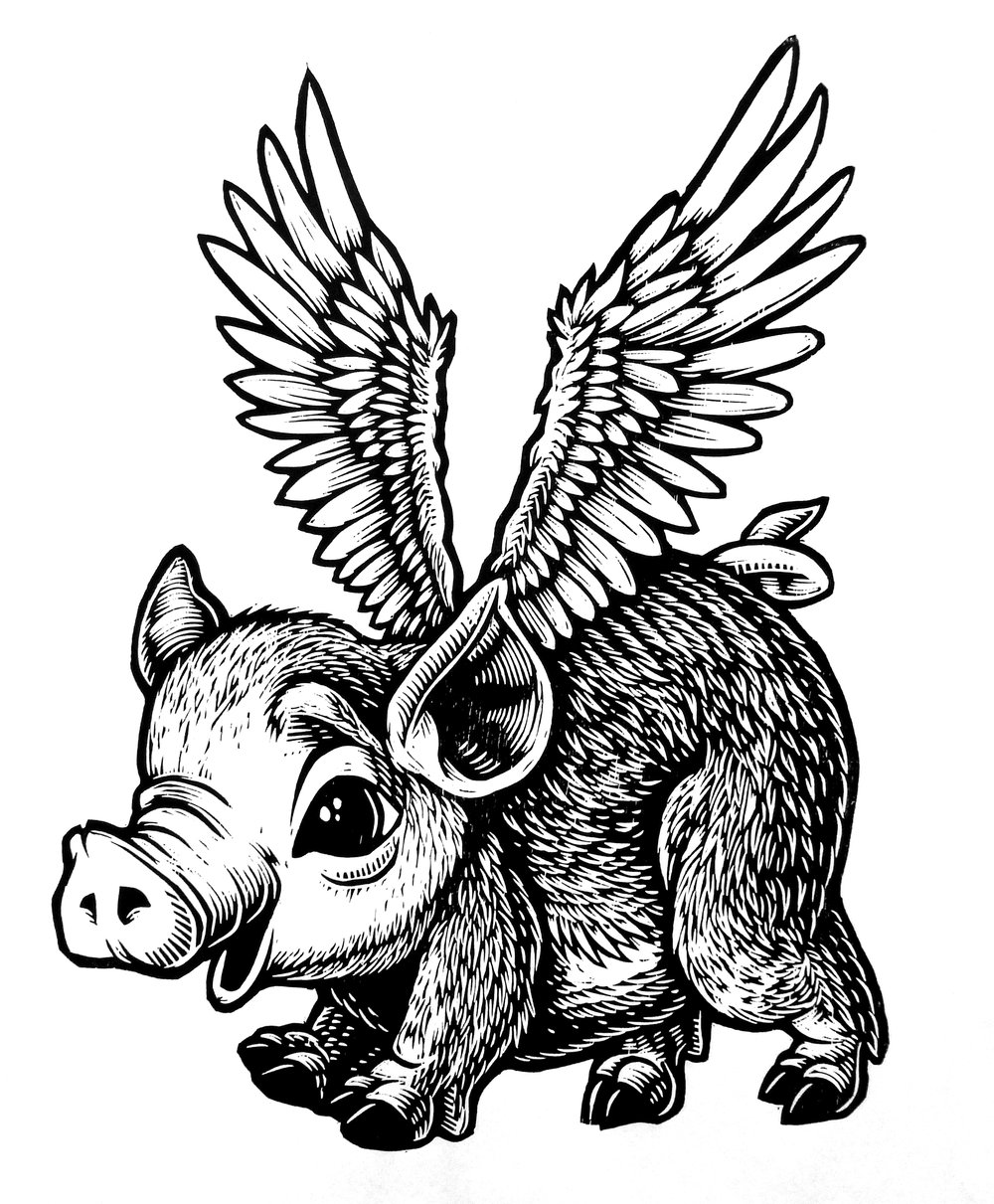 No time like the present Flying Pig T-shirt (B3) **FREE SHIPPING**