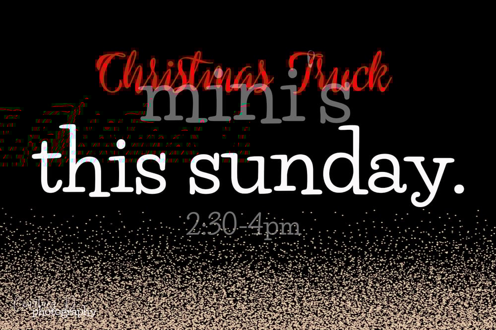 Image of Christmas Truck Mini's