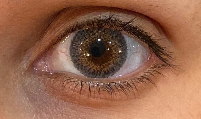 FreshTone Blends Gray