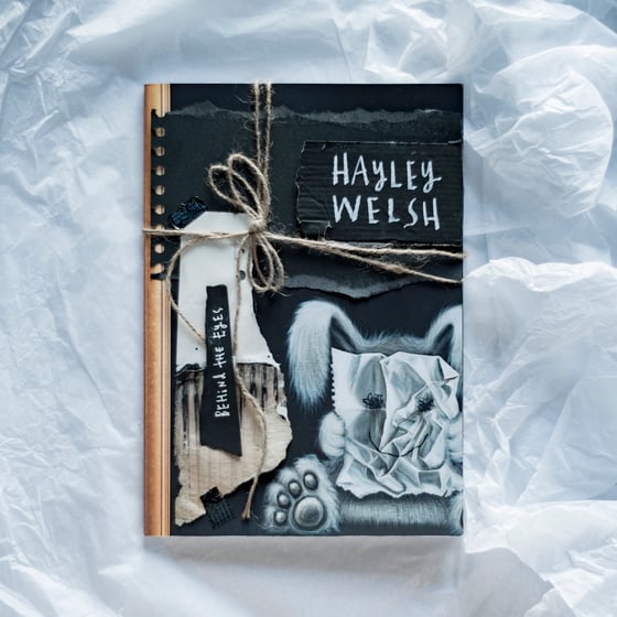 Image of BEHIND THE EYES by Hayley Welsh 