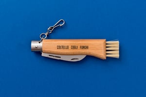 Image of COLTELLO COGLI FUNGHI / MUSHROOM KNIFE