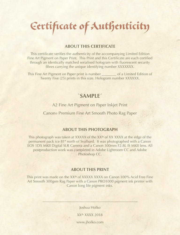 canon art print paper