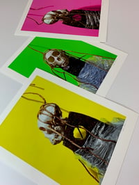 Image 2 of Set of 3 Vervet Prints
