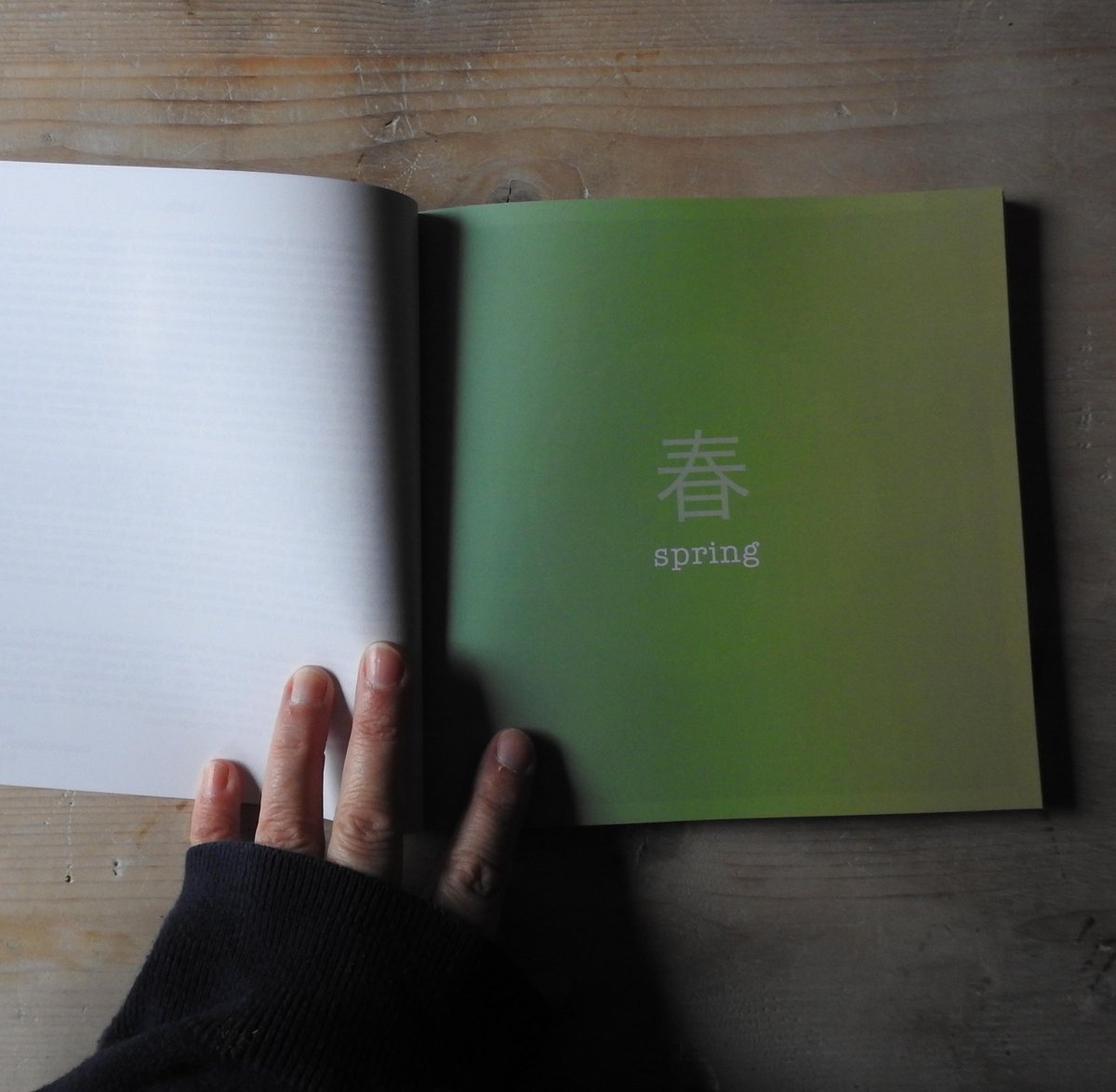Image of 'the 72 tiny plate x haiku microseasons' book