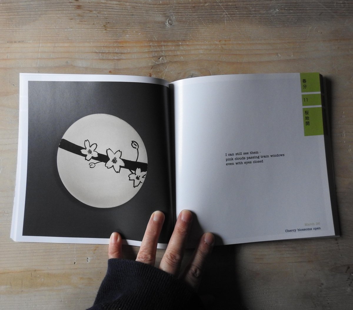Image of 'the 72 tiny plate x haiku microseasons' book