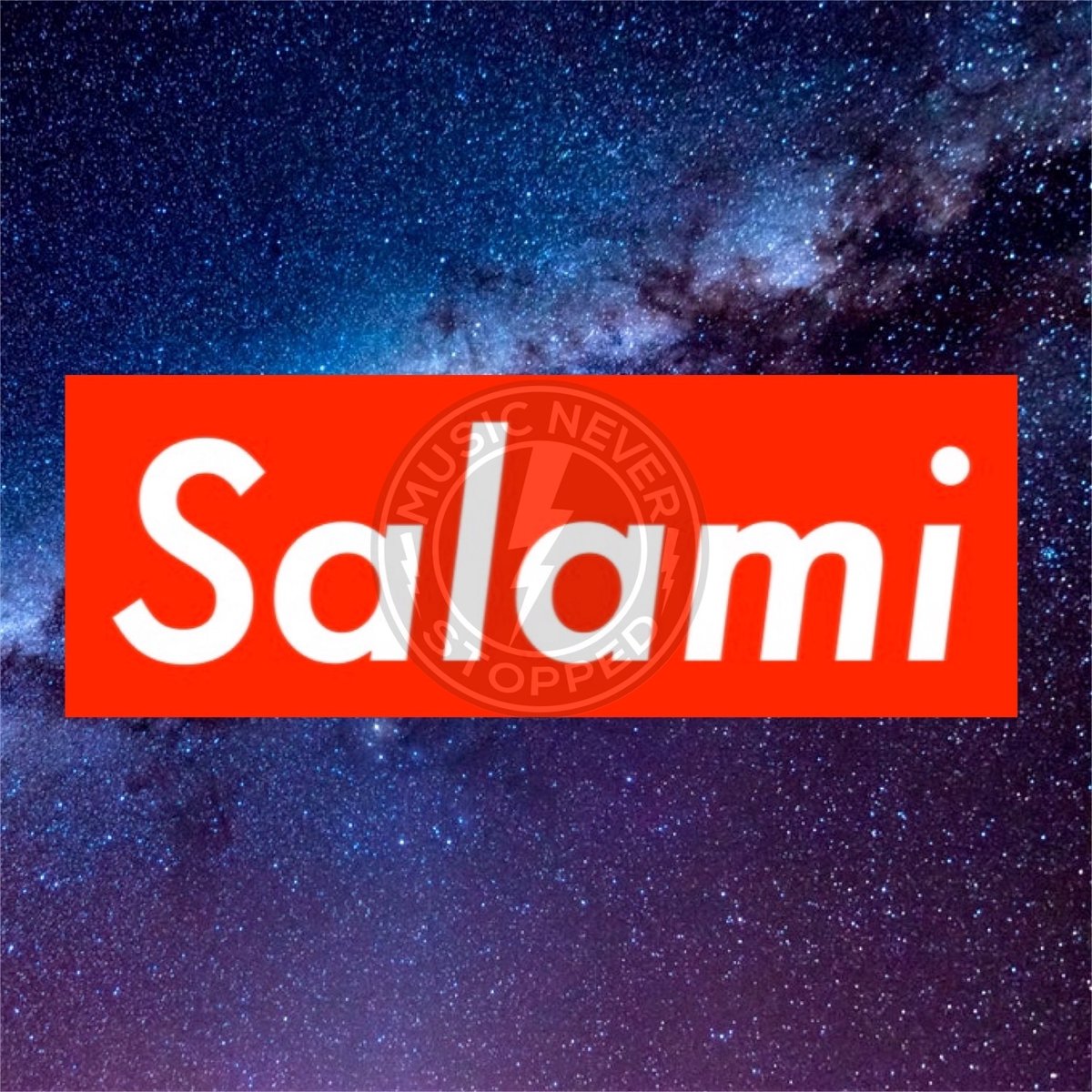 Salami Bumper Stickers