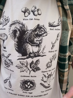 Image of FORAGING GRAY SQUIRREL [limited edition organic shirt]