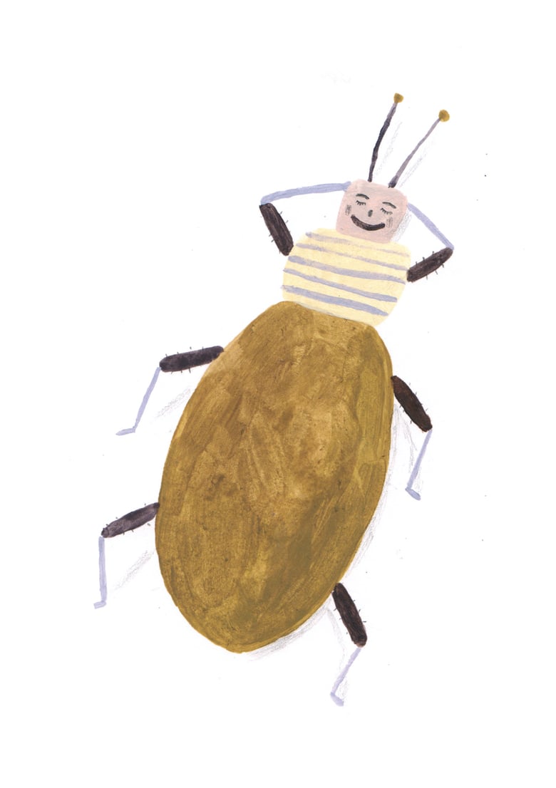 Image of Beetle