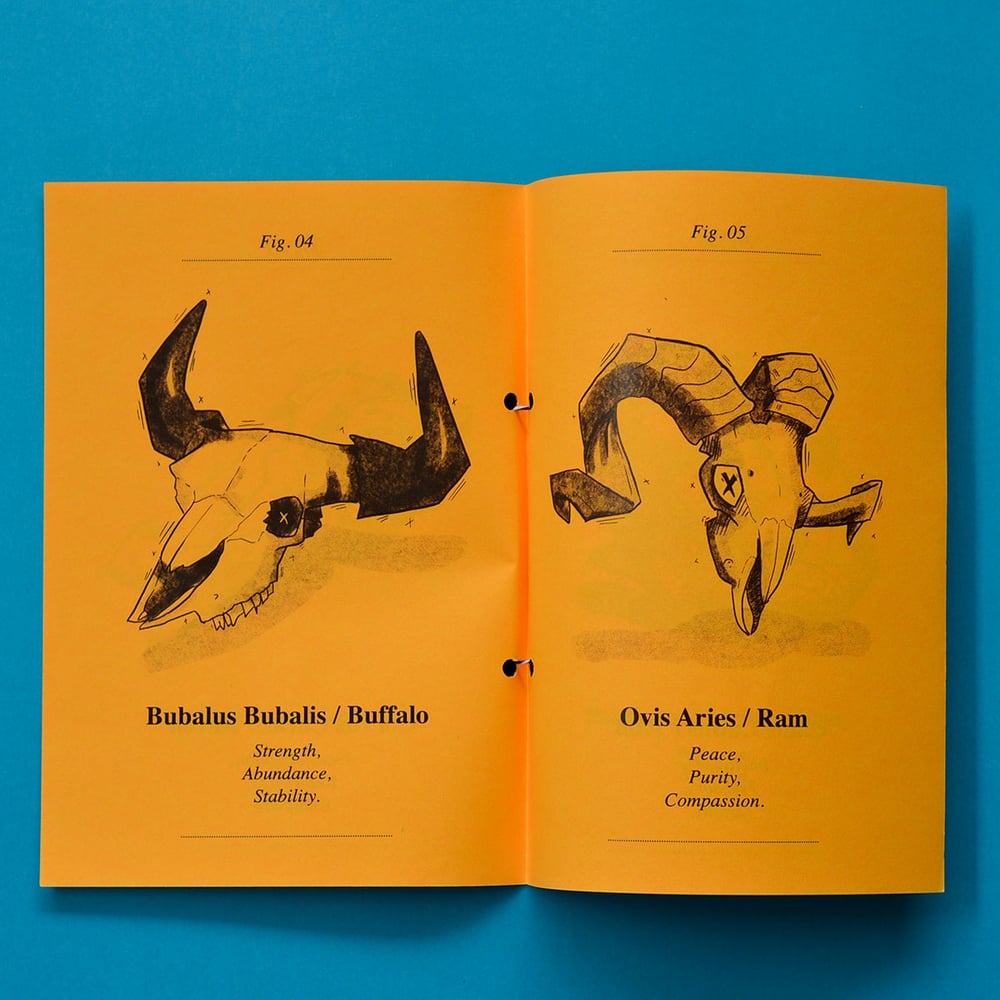 Image of Skulls Zine