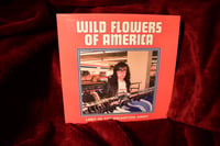 Wild Flowers Of America "Lost In The Salvation Army" LP 