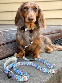 Image 1 of Onatah Meerkat Leash