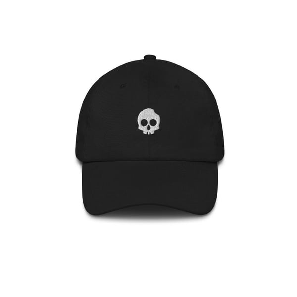 Image of Absofruitly Logo Hat