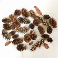 Image 1 of Pine cone Nature bag