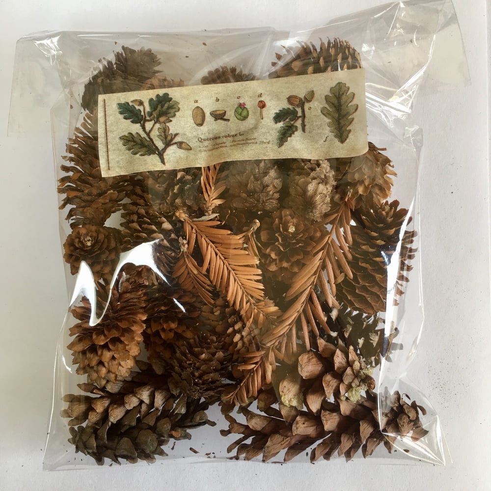 Image of Pine cone Nature bag